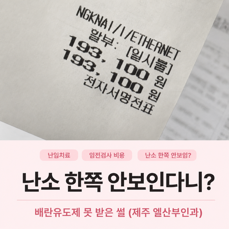 난임 임전검사 비용/난소 한쪽이 안보인다니? 배란유도제 못받은 썰 (제주 엘산부인과)