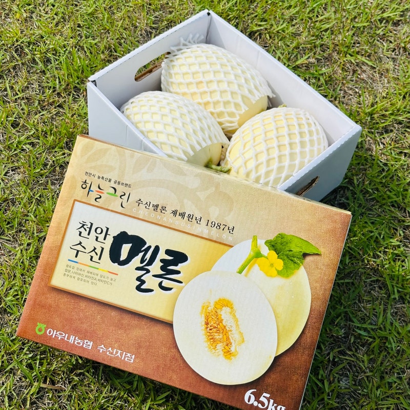 [최신] 천안의 특산물, 천안 수신멜론의 모든 것