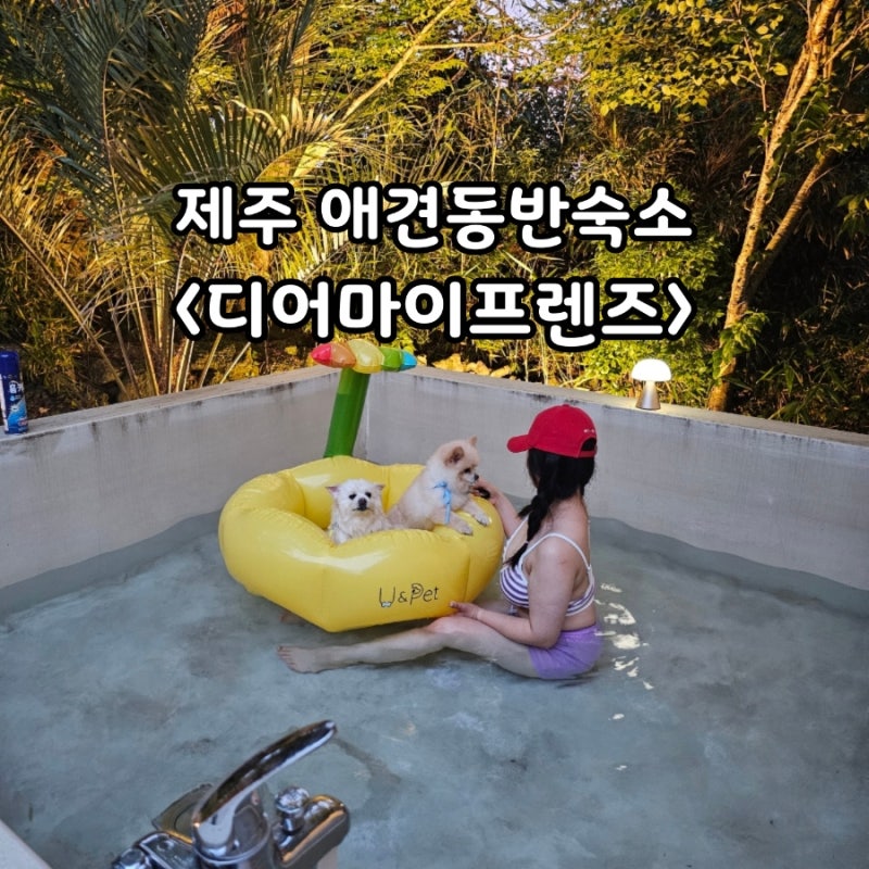제주도 한경면 감성숙소 애견동반독채펜션 추천