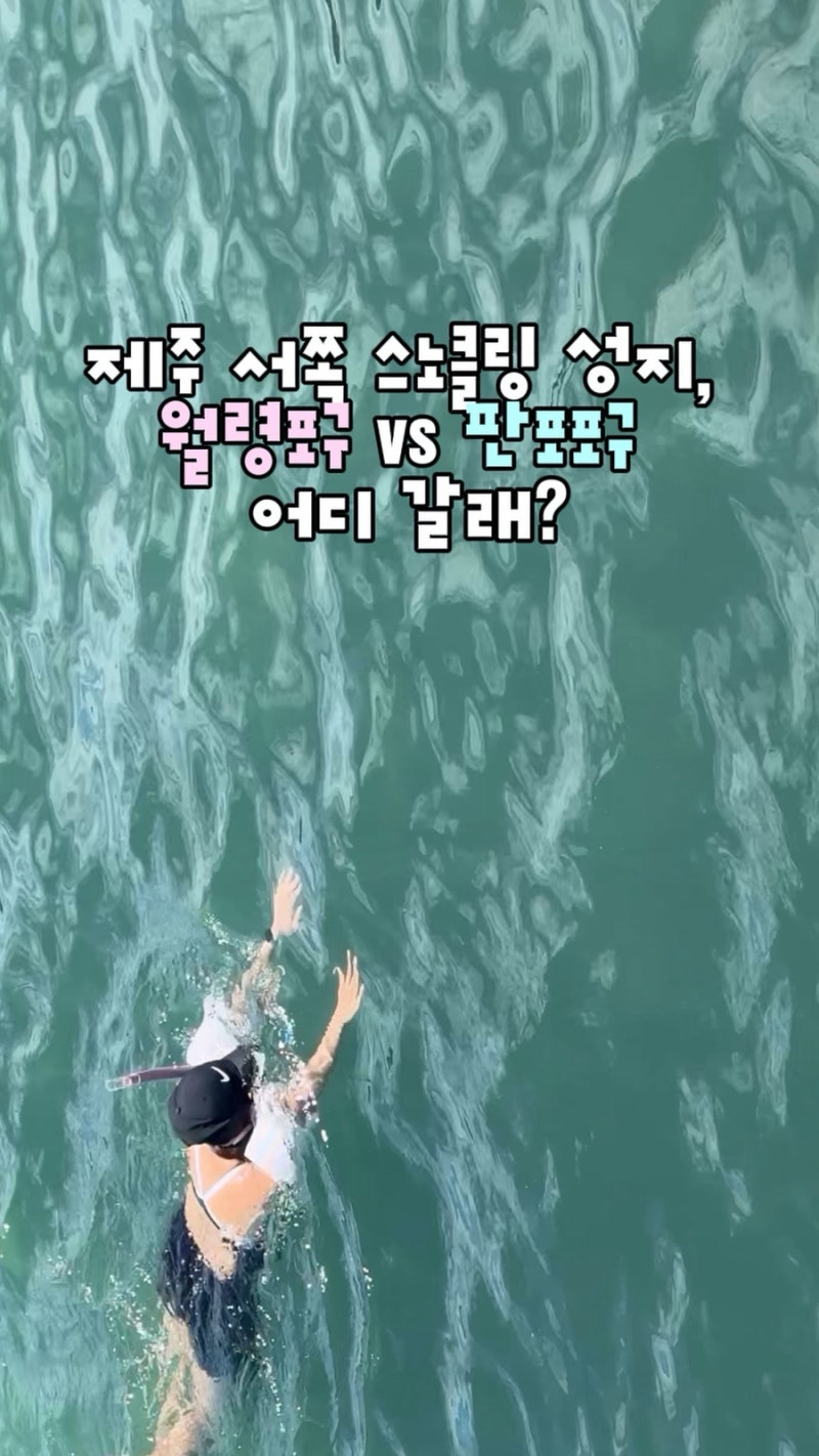 제주서쪽스노클링 월령포구 판포포구 비교