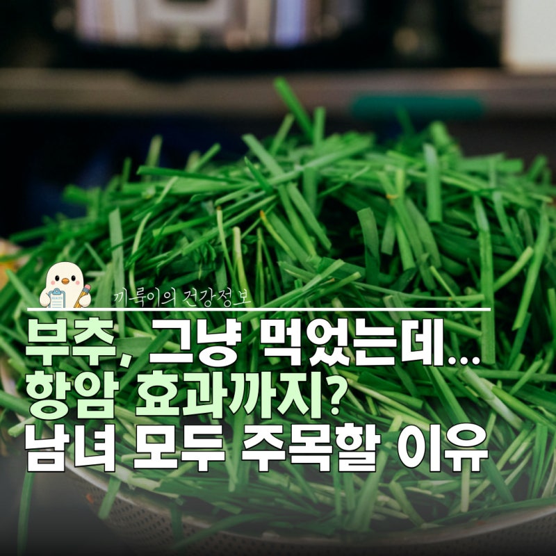 부추 효능 성분 항암 효과까지? 남자 여자 챙겨여할 이유
