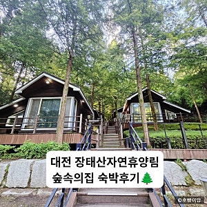대전 장태산자연휴양림 숲속의집 향나무집 성수기 숙박후기 | 19개월 아기와 함께