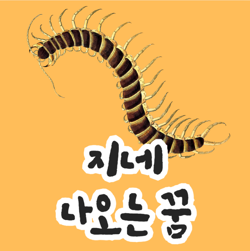 지네 나오는 꿈