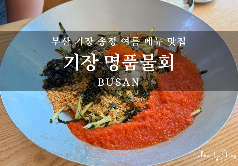 송정 기장 명품물회, 시원한 물회맛집 현지인이 추천하는 부산 기장 송정 맛집 솔직후기