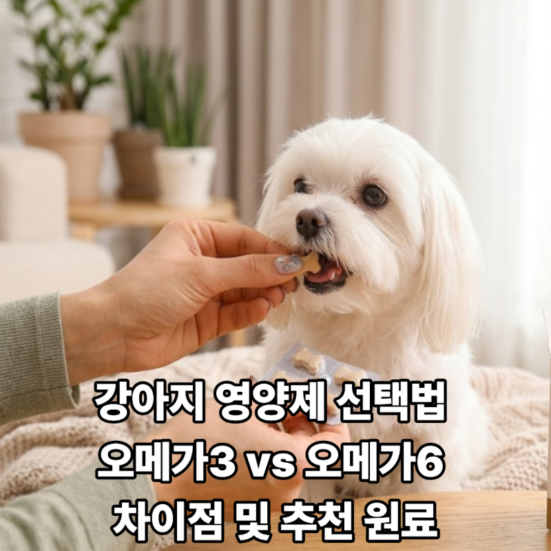 강아지 영양제 선택법: 오메가3와 오메가6 차이점 및 추천 원료