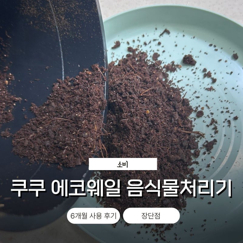 쿠쿠 음식물 처리기 에코웨일 6개월 사용 후기 장단점 냄새 소음