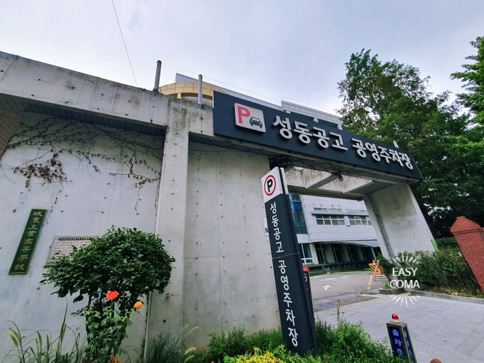 동대문 청평화, 디오트 방문 시 성동공고 주차장 주차 꿀팁 & 동선 총정리