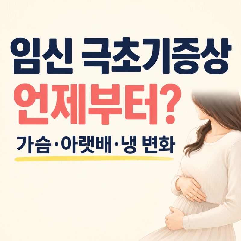 임신 극초기증상 시기 총정리｜가슴통증 아랫배 냉 피 소변 변화