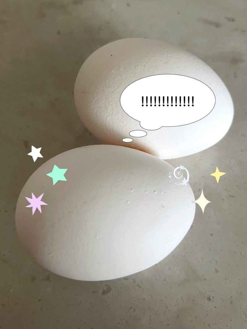 [저탄고지 다이어트] 에그패스팅 부작용(설사)원인/대처법! 건강한 저탄식사 보식 기록
