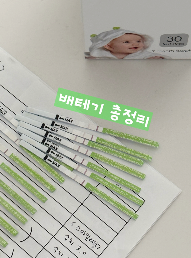 [스마일 배테기 사용법] 시간, 피크, 어플로 수치 체크/ 원포 배란테스트기 비교
