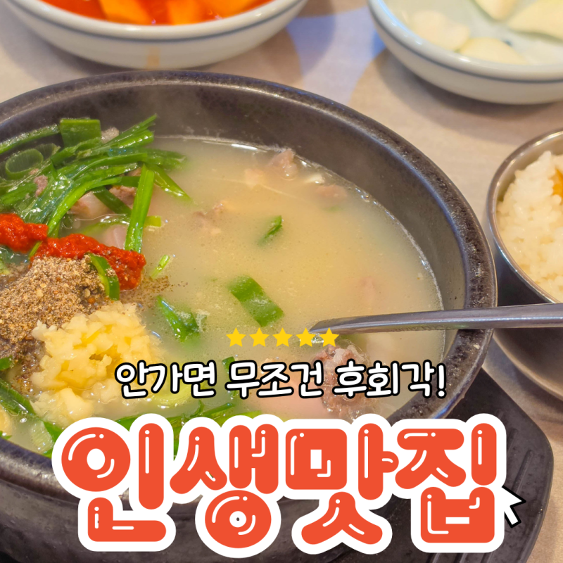 양양 밥집 진리옥, 여기 괜찮은데?