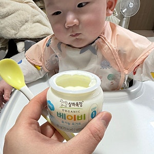 생후 6개월 아기 첫 요거트 추천! 상하목장 유기농 베이비 요거트 STEP 1 내돈내산 후기