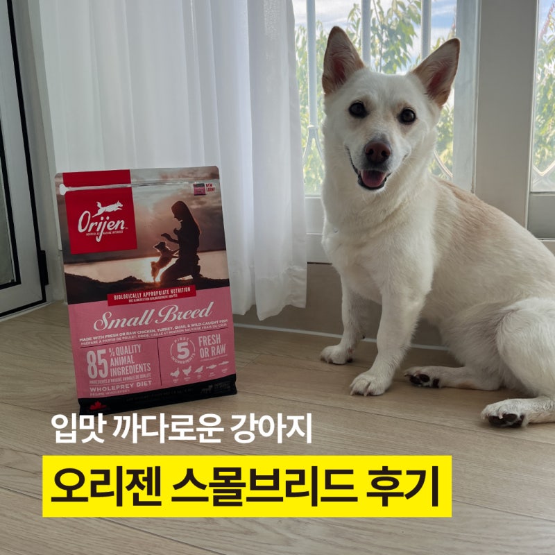 오리젠 스몰브리드 사료 입맛 까다로운 강아지 후기