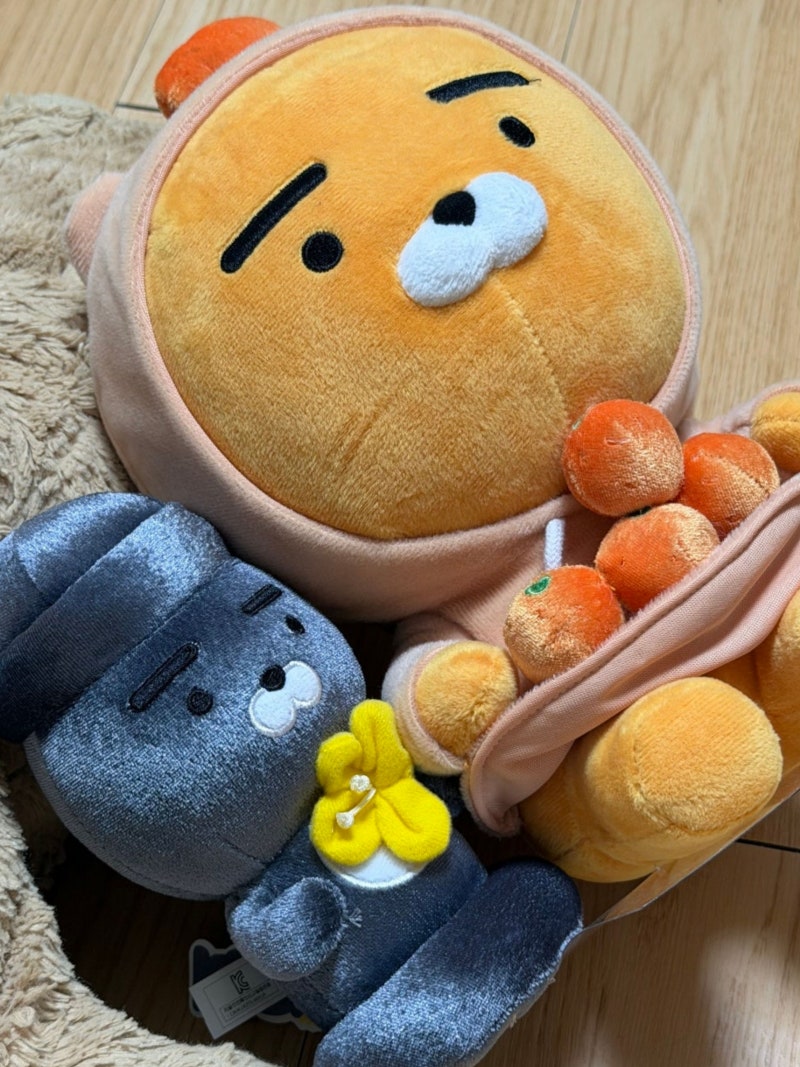 인형 버리는법 종량제 의류수거함 분리수거 기부까지 총정리