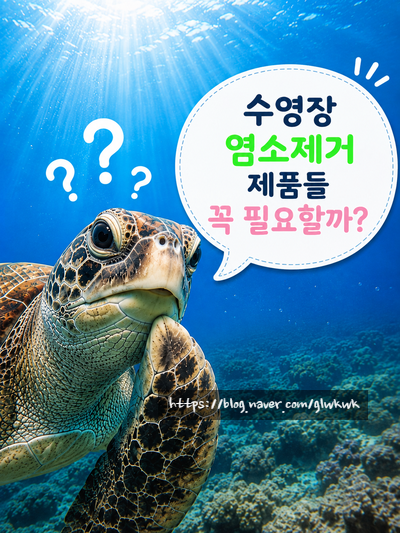 수영장 염소제거 샴푸·바디워시 꼭 필요할까? 피부와 머리 관리법