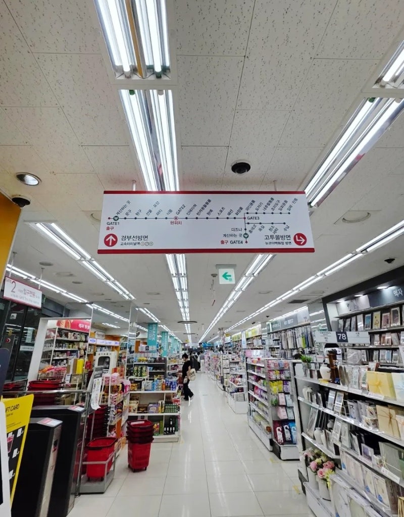 강남 고속터미널 다이소, 서울 최대 규모? 위치 가는 방법 방문후기