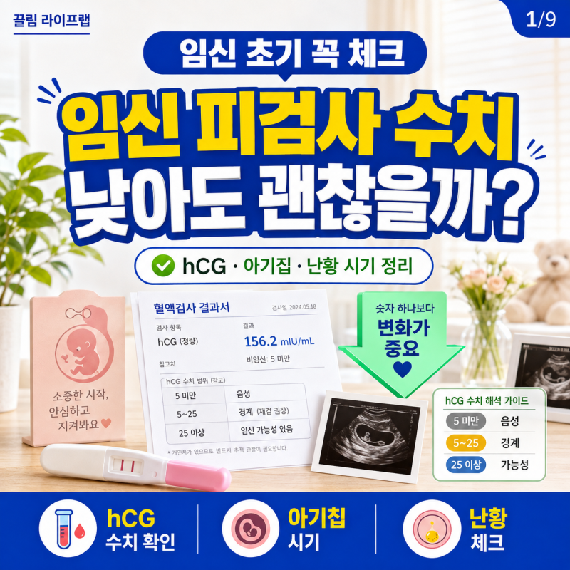 임신 피검사 수치 hcg 검사 결과 해석부터 아기집 난황 확인 시기