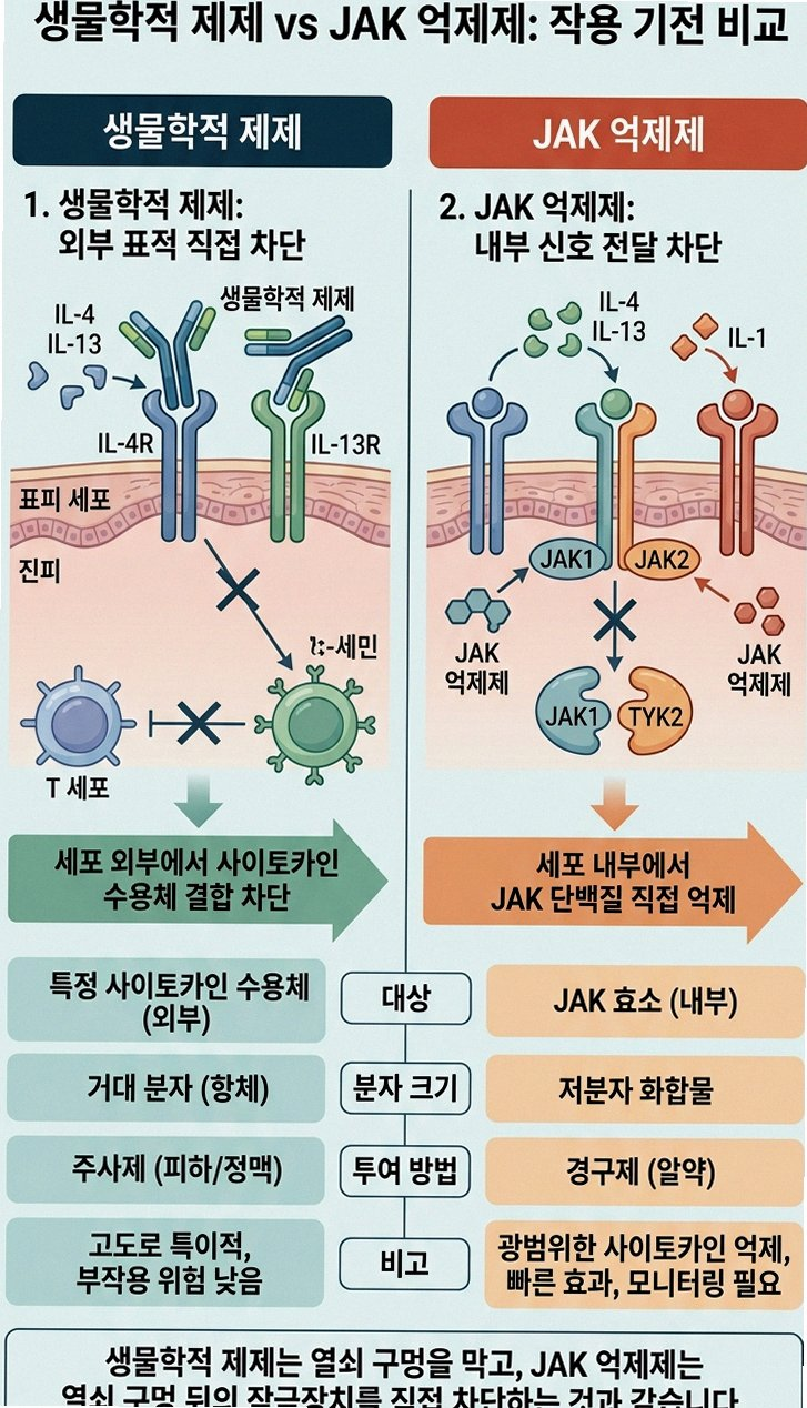 중증 아토피 치료 방법과 급여 기준 확인해야 하는 이유 포인트 총정리