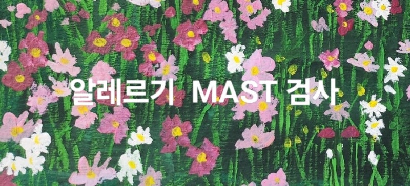 비염·아토피 원인 찾기! MAST 알레르기 검사 총정리 (비용·실비 팁)