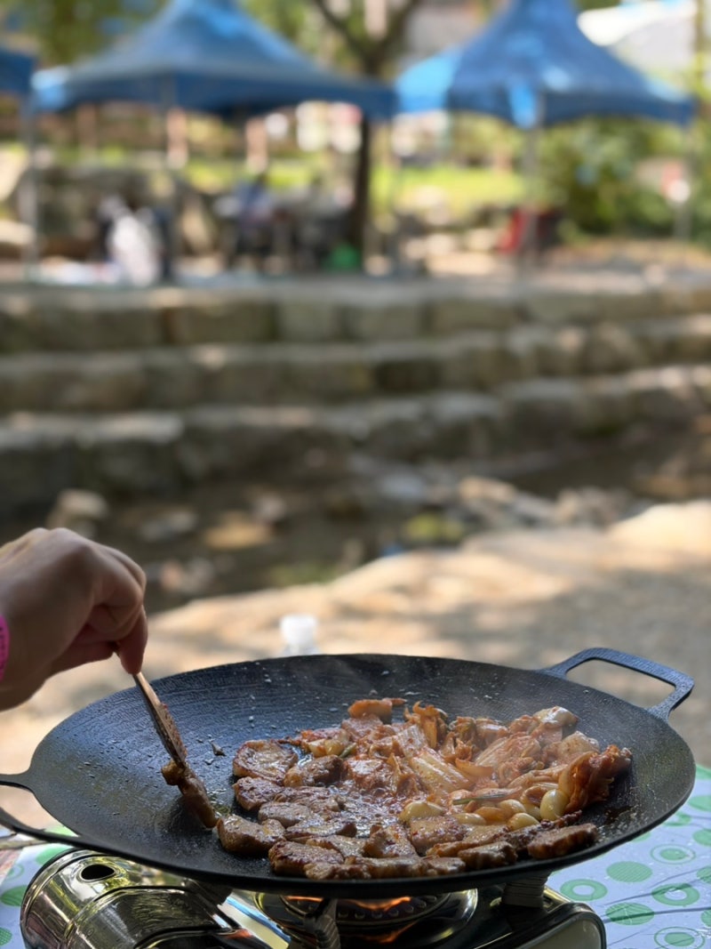 과천 서울대공원 캠핑장 당일 피크닉
