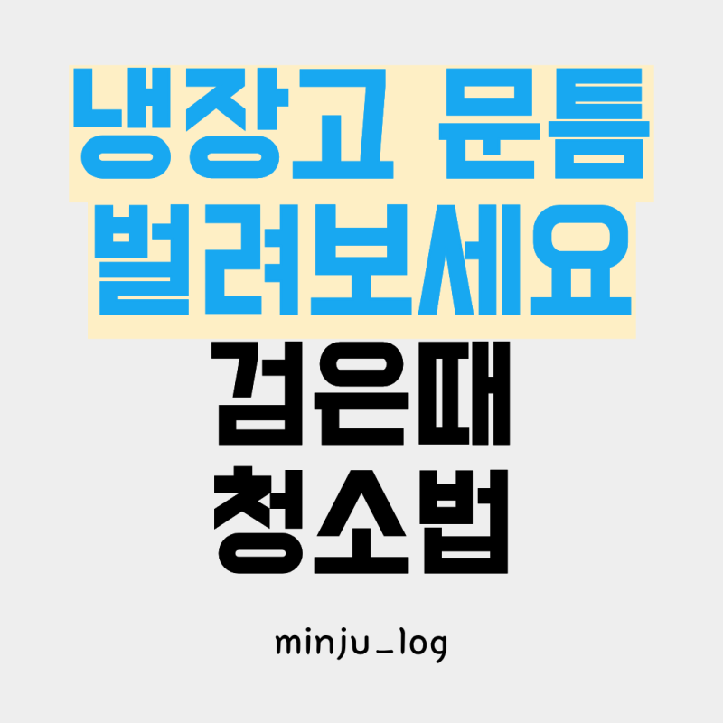 냉장고 고무패킹 청소 방법, 문틈 검은때와 냄새까지 관리하기