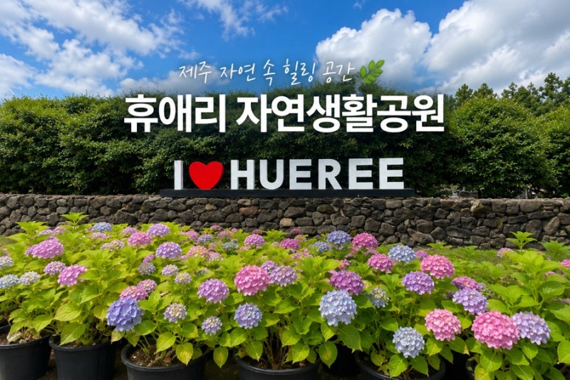 제주 아이랑 여름 휴애리 자연생활공원