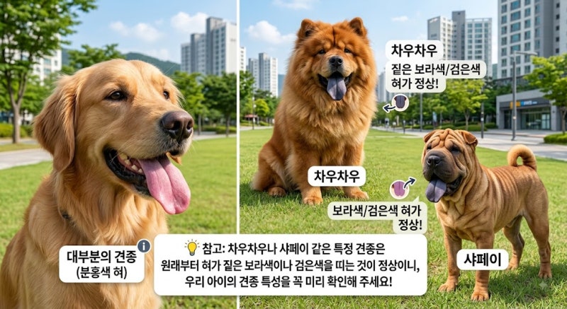 [반려견 건강 시그널] "우리 강아지 혀 색깔이 이상해요!" 색깔로 알아보는 건강 상태