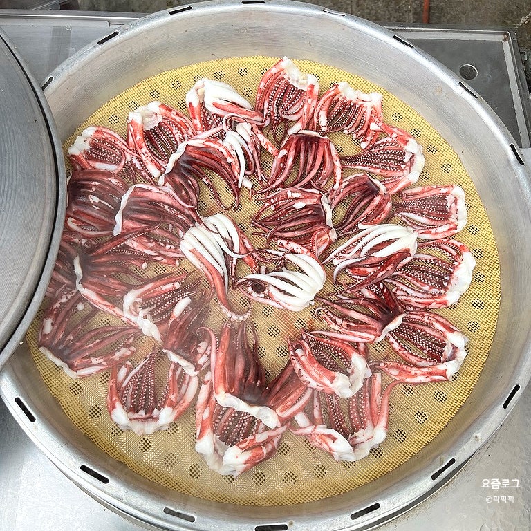 속초 중앙시장 먹거리 총정리 | 대게·오징어순대·회·닭강정·술빵 포장 코스