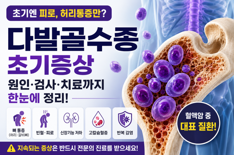 다발골수종 초기증상부터 검사·치료까지, 2026년 총정리