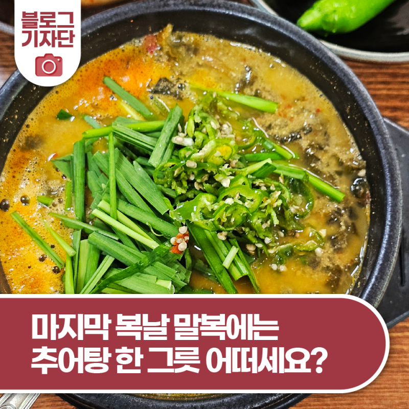 올 여름 마지막 복날, 말복에는 추어탕 한 그릇 어떠세요?