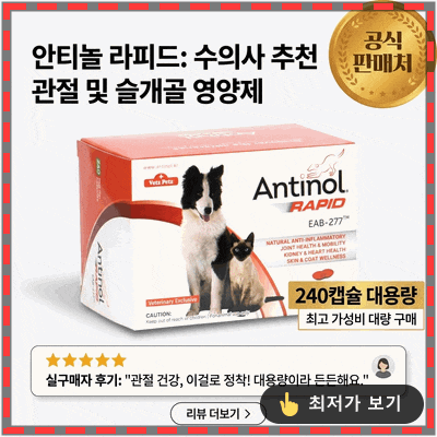 안티놀 래피드 강아지 고양이 관절 슬개골 영양제 동물병원 추천템 대용량 득템 후기
