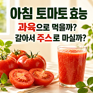 아침 토마토 효능, 과육으로 먹을까 갈아서 주스로 마실까?