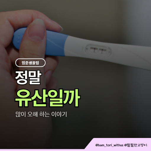 임테기 두 줄 후 생리가 시작됐다면 화학적 유산일까요