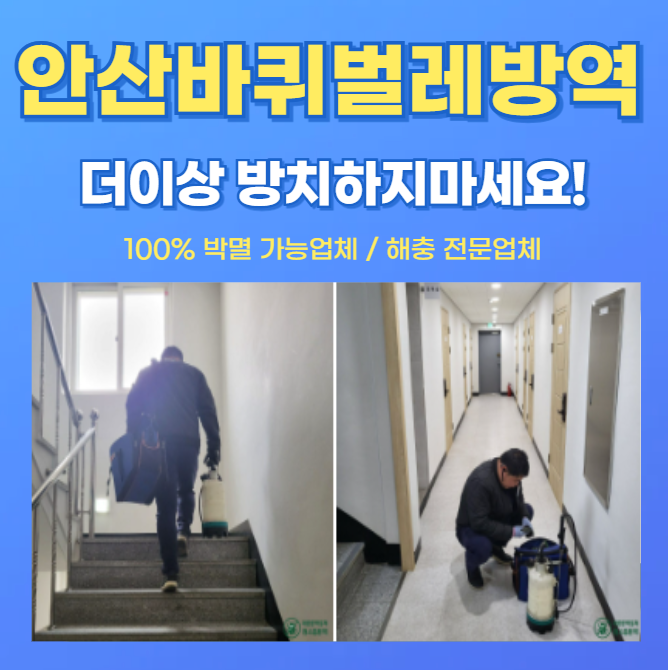 [안산 바퀴벌레 방역] 전문업체가 말하는 바퀴벌레 퇴치법!