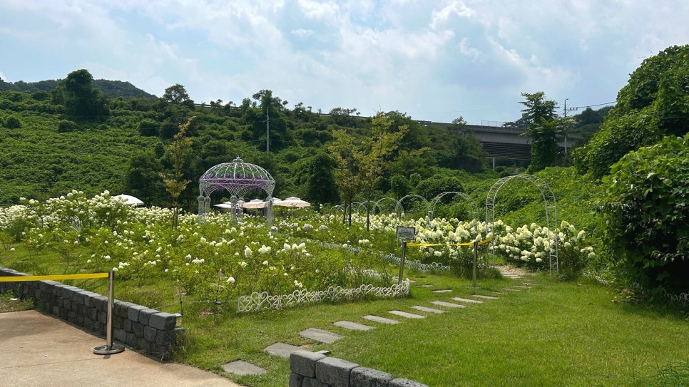 몽글몽글 사진 4