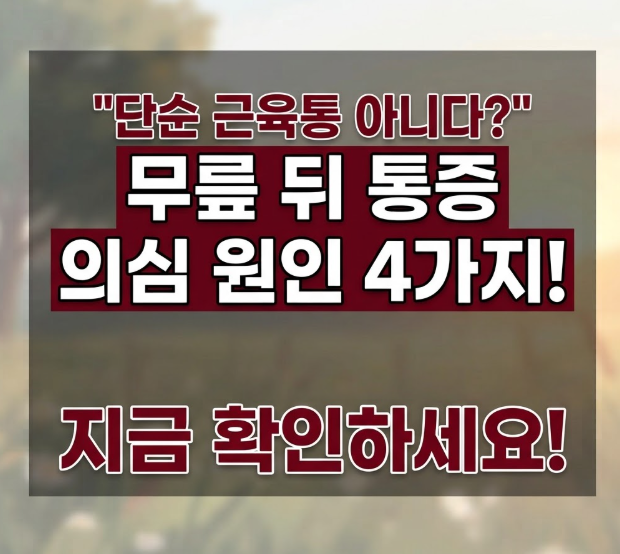 “그냥 근육통인 줄 알았는데…” 무릎 뒤쪽 통증이 계속될 때 의심할 원인 4가지
