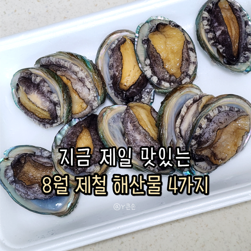 8월 제철음식 해산물 4가지! 갈치 전복 민어 농어 맛있게 먹는법