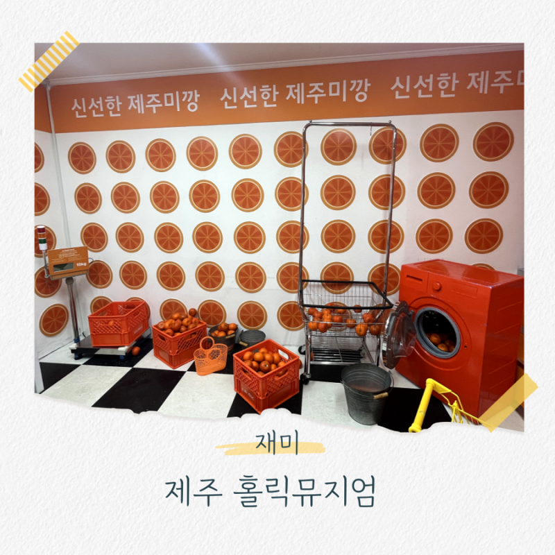 제주 공항 근처 아기랑 갈만한 곳 제주홀릭뮤지엄