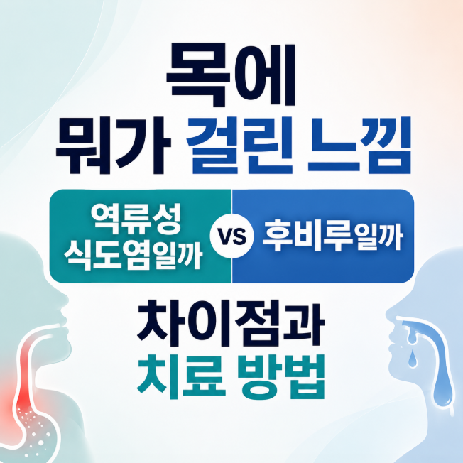 목에 뭐가 걸린 느낌 역류성 식도염일까 후비루일까? 차이점과 치료 방법