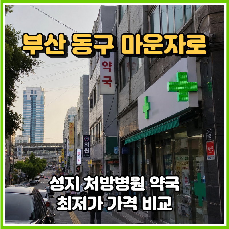 부산 동구 마운자로 성지 처방병원 약국 최저가 가격 비교 확인은 필수!