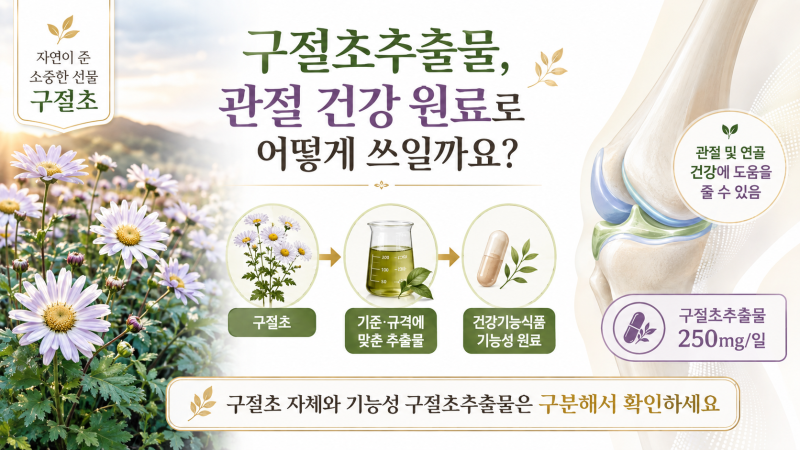 구절초와 난각막, 처음 듣는 관절 건강 원료 쉽게 알아보기