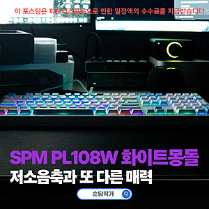 무선 기계식키보드추천, 용산 세모키에서 직접 타건하고 고른 SPM PL108W 몽돌화이트축