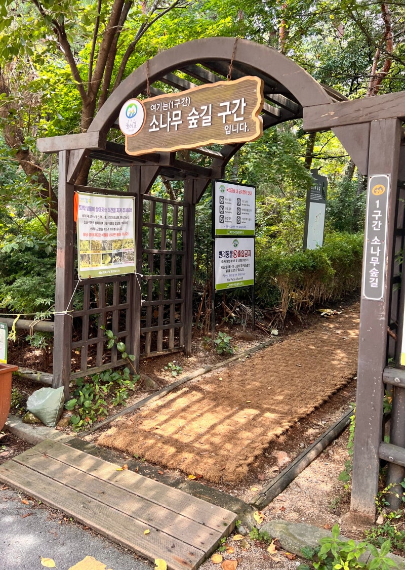 북한산 둘레길 1코스 소나무숲길, 가볍게 걷기 좋을 줄 알았던 숲길 산책