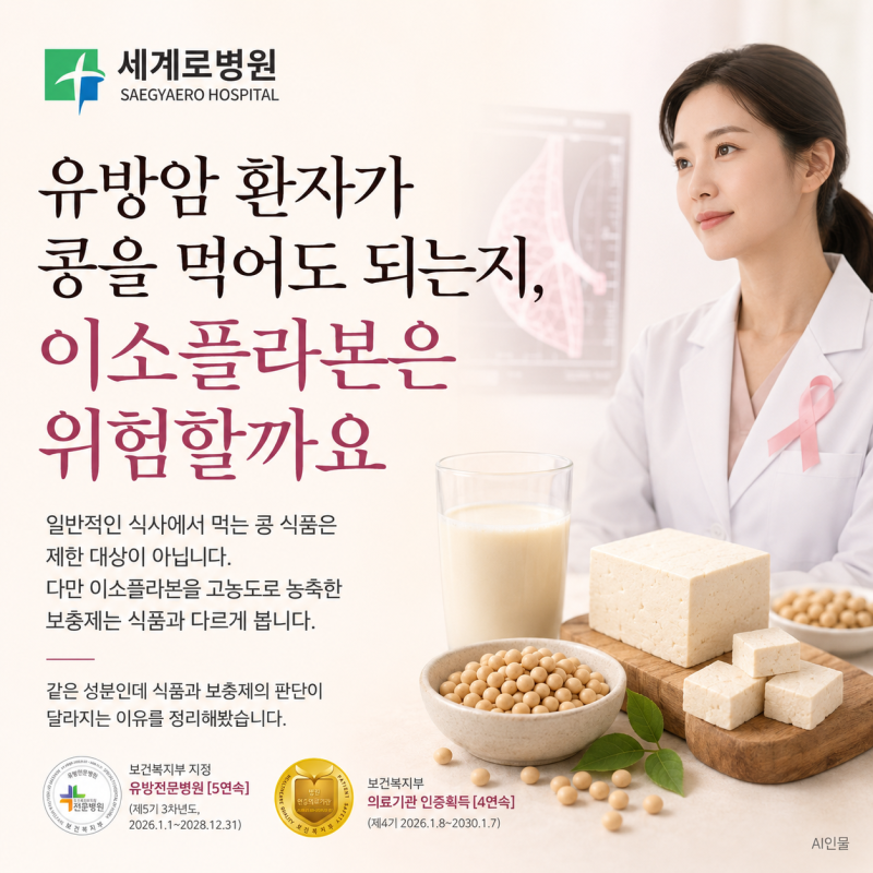 유방암 환자가 콩을 먹어도 되는지, 이소플라본은 위험할까요