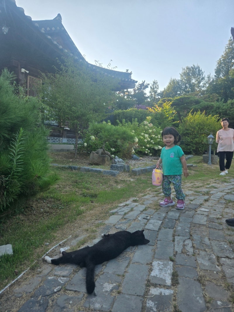 22개월 아기랑 밥집 익산 예지원 고택보리비빔밥