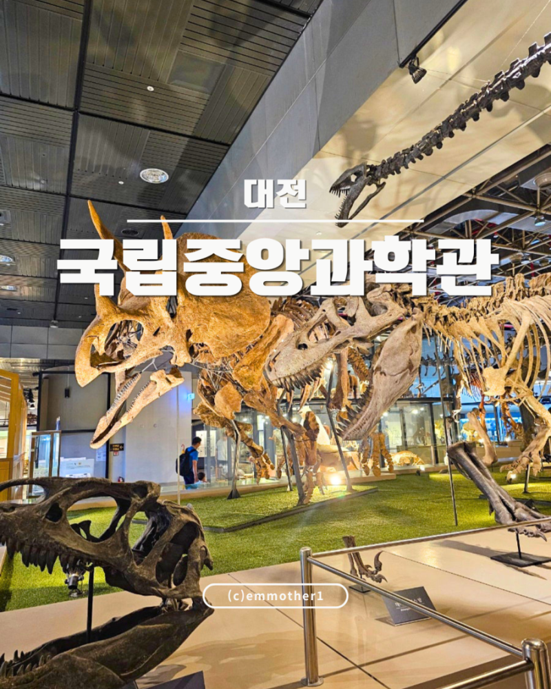 대전 아기랑 갈만한곳｜국립중앙과학관 자연사관·과학기술관 유모차 후기