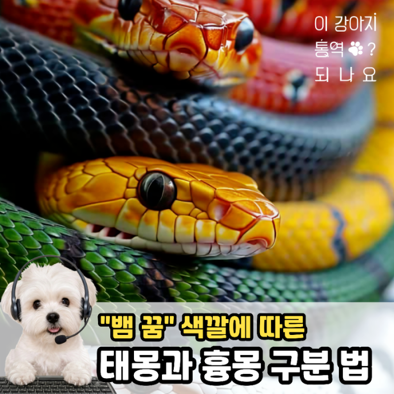 뱀 나오는 꿈, 색깔별로 보는 태몽과 흉몽