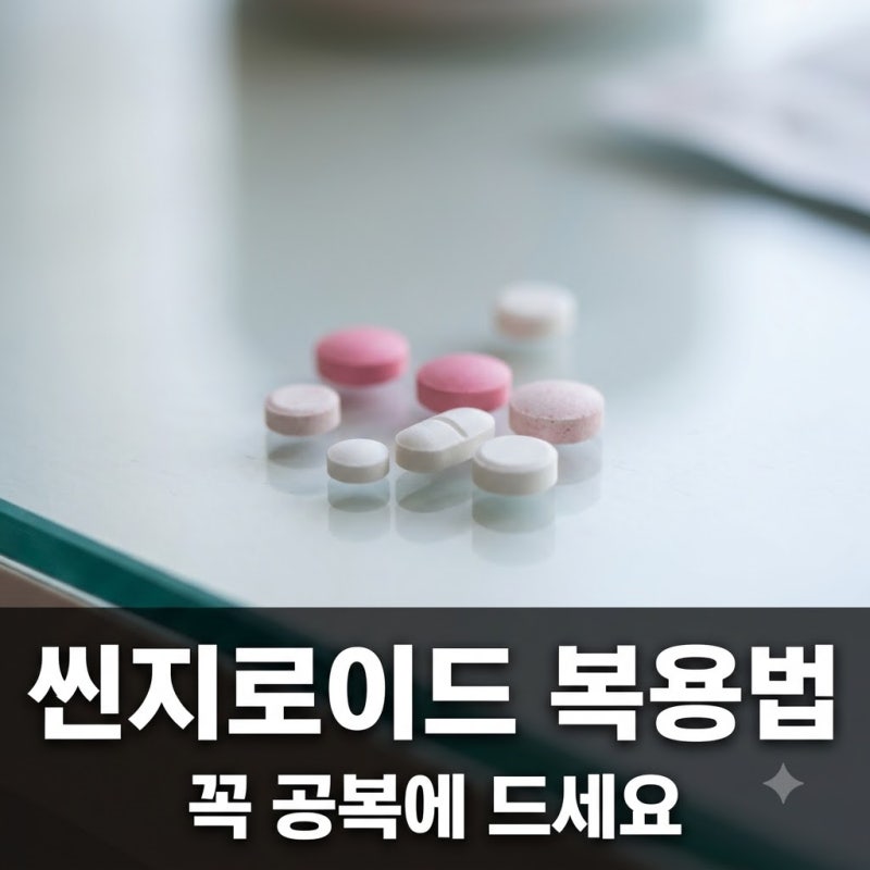 "매일 아침 챙겨 먹었는데.." 씬지로이드정 효과 뚝 떨어뜨리는 의외의 습관