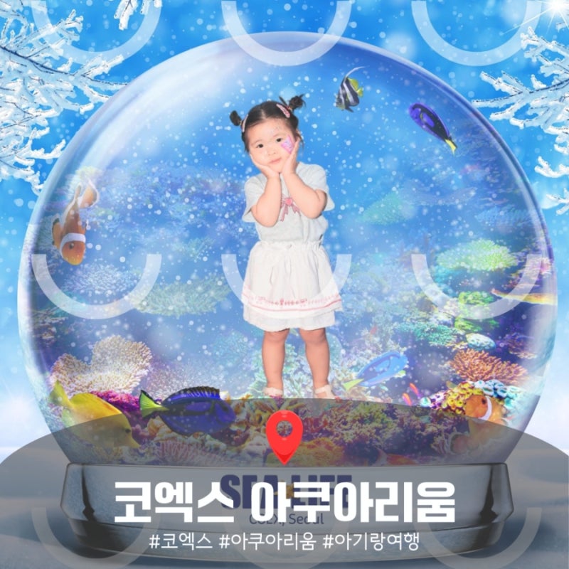 코엑스 아쿠아리움 27개월 아기랑 평일 방문 후기 및 관람 팁 정리