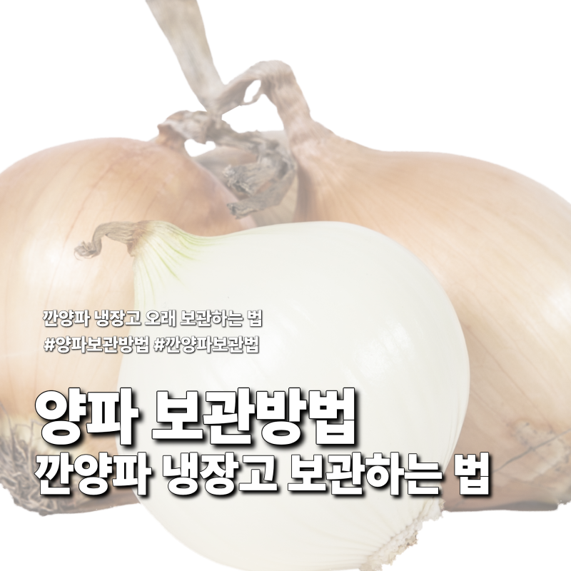 양파 보관방법, 깐양파 냉장고에 오래 보관하는 법